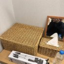 광안비치호텔 더엠 이미지