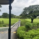 PLUS25 계산점 | 미모사 플러스 골프클럽(MIMOSA PLUS GOLF CLUB MOUNTAINVIEW COURSE)후기 4 mountainview course