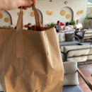 호텔645(HOTEL645) | 튀르키예 자유여행 안탈리아 구시가지 가성비 호텔 Just Inn City Hotel