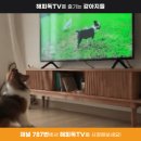 아도스정보통신 이미지