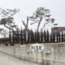 라이즈 카페 | 익산대형카페추천 카페라이즈에서 두쫀쿠와 빵 한가득 먹어 본 솔직후기