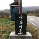 감나무집공할머니민박 이미지