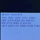 민생달 네이버블로그