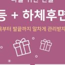수에스테틱 이미지