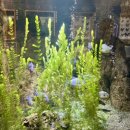 담수농장 | 대구 아이랑 실내 시간 예매 할인 신세계백화점 아쿠아리움