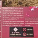 가을날 역사여행 | 천안시 가을날 가볼만한곳 역사현장 독립기념관과 단풍나무길 산책