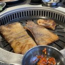 도화갈매기 이미지