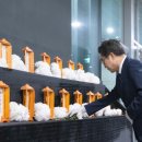 133 이미지