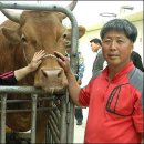 순이농장 오마이뉴스