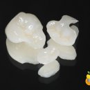 비타민치과기공소 이미지