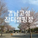 고성 잔디 캠핑장 | [고성] 아이가 즐거운 잔디캠핑장 방문후기