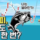 슈카월드. 기준금리 인상속 코스피 미워도 다시 한 번? 이미지