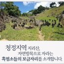 자연엑기스