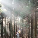 CU 창전숲길점 | 9개월 아들과 부소오름 여행기｜제주 동쪽 오름 삼나무숲길 산책, 아이랑 무리 없는 코스