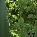 논일농장 이미지