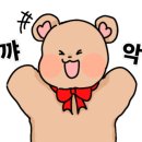 아이오토포토