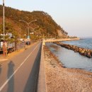 아리랑회식당 이미지