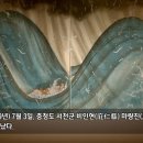 표류한 사무라이가 기록한 조선 (순조 19년) 이미지