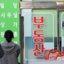대신부동산중개사무소 이미지