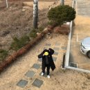 제이큐브뮤지엄미술관 티스토리