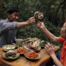 지리산약초 이미지