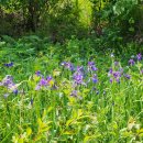 동촌2리경로당 이미지