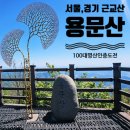 명문사 - 안동시 제비원로 166 | 경기 근교 가까운 곳 100대 명산 용문산 인기있는 등산 코스