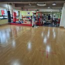 에스복싱클럽 이미지