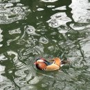 남원루(와선루) 이미지