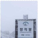 사계절호스텔(사계절펜션) 네이버블로그