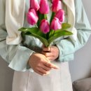 데일리딜라잇 이미지