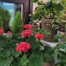 (주)꿈꾸는이웃 이미지