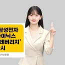단일 뉴시스