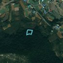 돌산가축 이미지