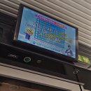 산마루타조나라 | 삿포로 저리 가라! 한국의 눈 세상 대관령에서 2박 3일 #1 [KTX, 삼양 목장, 산마루가든]