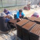 응암4리_마을회관 이미지