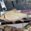 양촌소류지 이미지