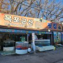 [김포] 대명항 목포군산 횟집 삼식이회