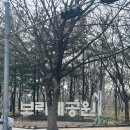(주)쟝블랑제리 롯데백화점 관악점
