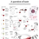 와인의 이해 이미지
