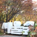 서울숲11 이미지