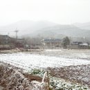 소현1리 이미지