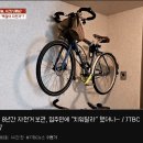 아파트 복도에 벽 뚫고 자전거 보관 ... 잘못이다 VS 잘못아니다 . gif 이미지