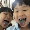 달이뜨면꽃이피고 이미지