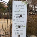 영산산림 이미지