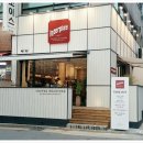인터플레이(interplay)