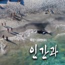 [울산 MBC] 인간과 고래 이미지