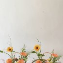 푸르제