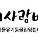 다시사랑받개 이미지