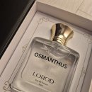 가을향기를 담은 향수 | 가을이면 떠오르는 금목서, 그 향기를 향수로